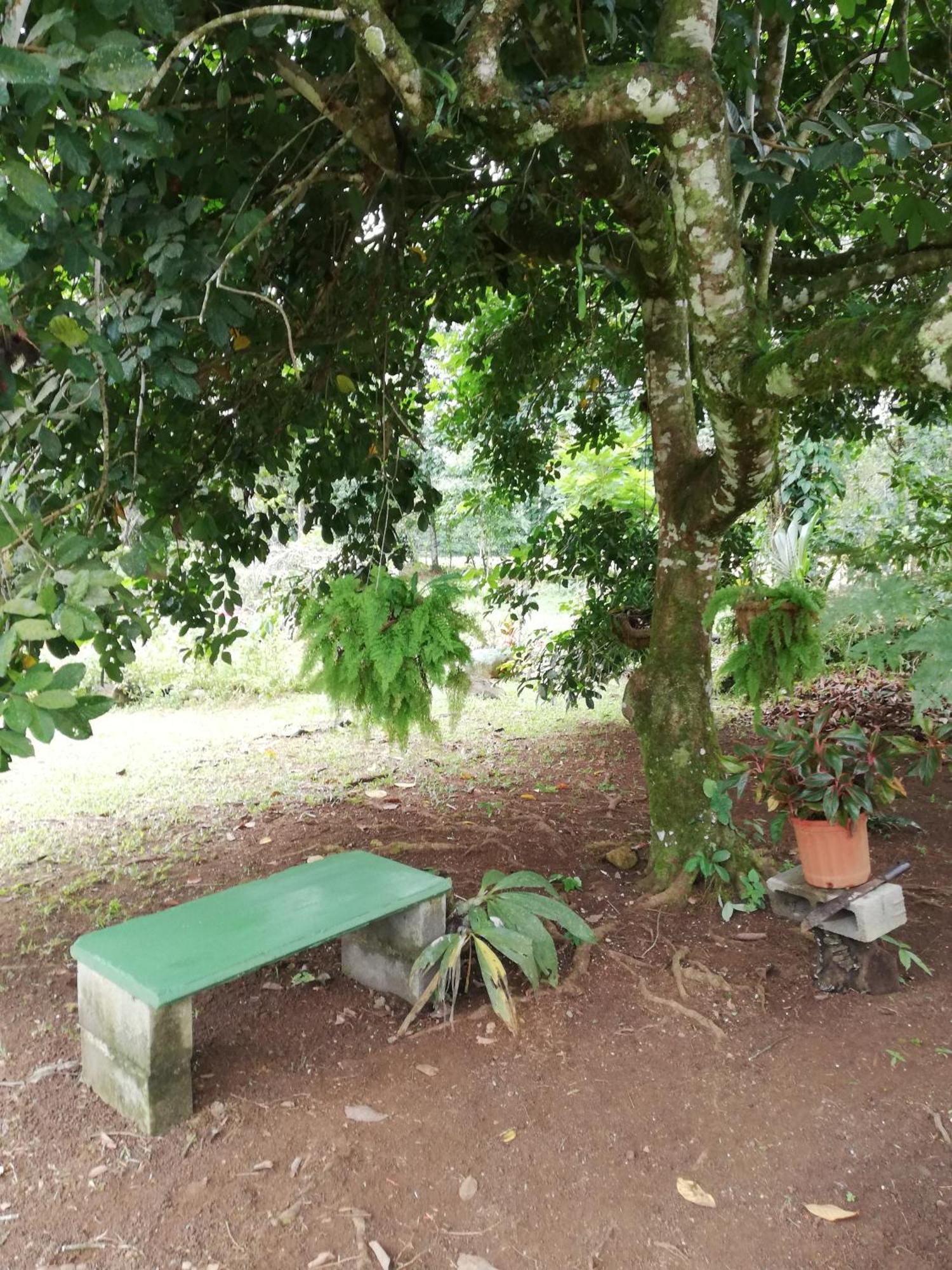 Paraiso Verde Siqurres Da Alegria Exterior foto